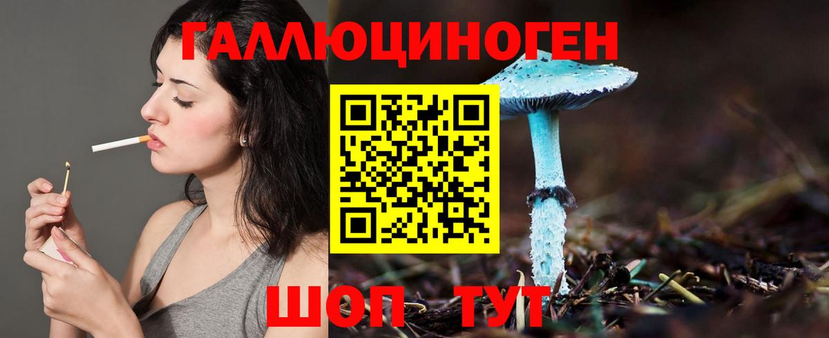 Псилоцибиновые грибы Psilocybine cubensis  Вход с VPN  Альметьевск 